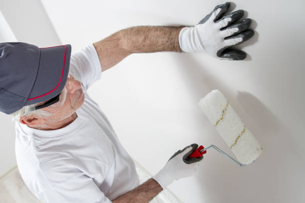 Best Drywall Repair  in Westvle, IL