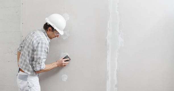 Best Drywall Finishing  in Westvle, IL